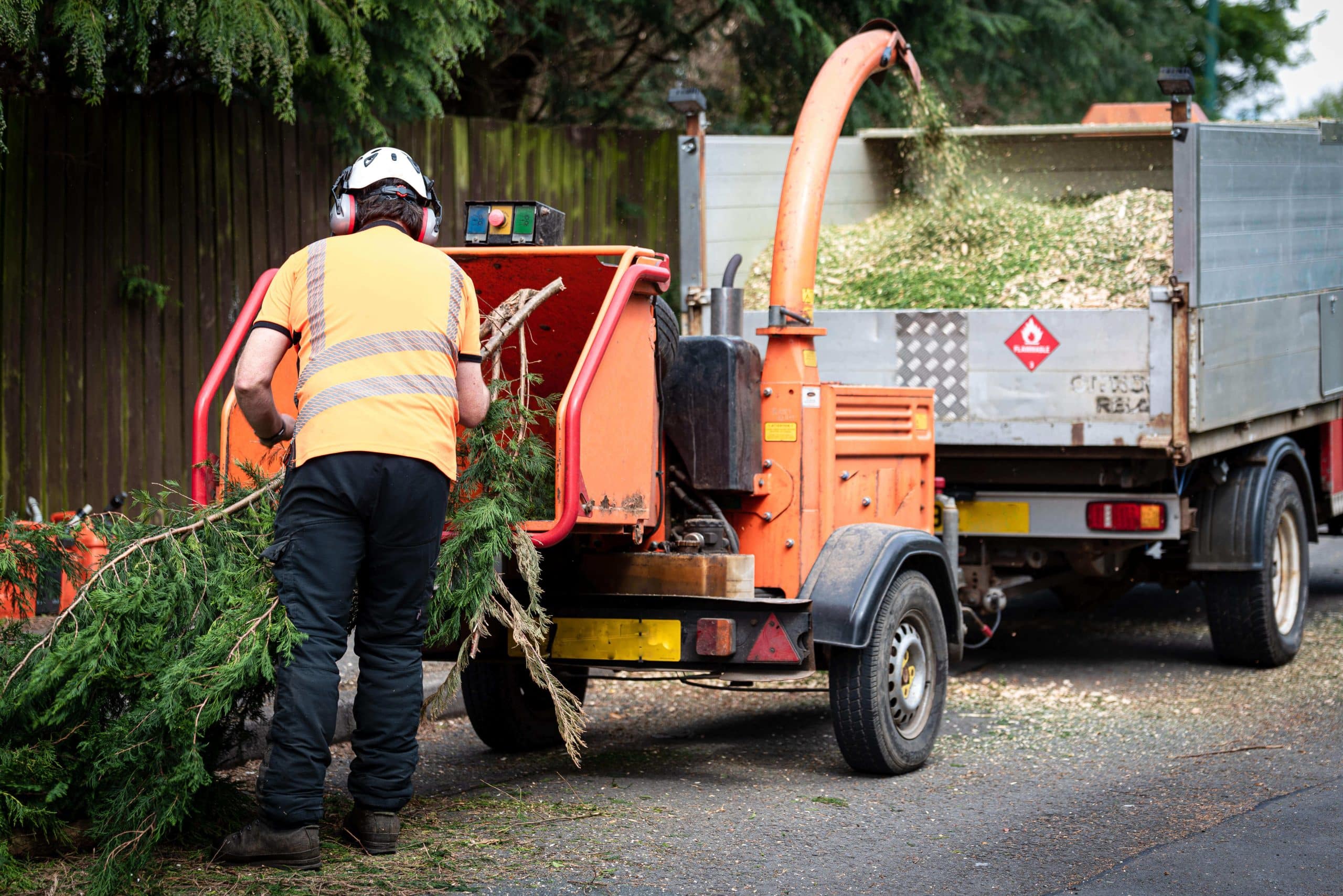 Tree Stump Grinding/Removal Tadworth KT20